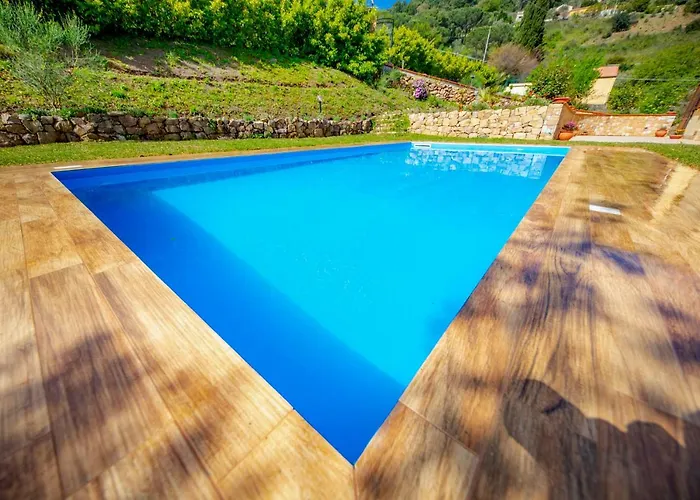 Lavanda * تْشيفالو